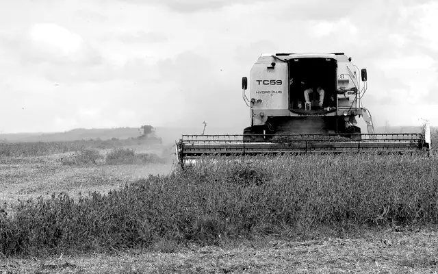 Foto ilustrativa: setor Agro